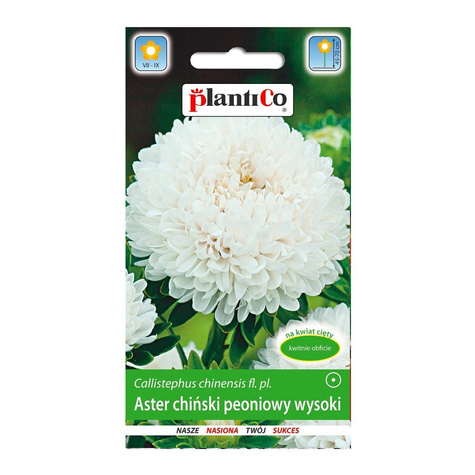 Aster chiński peoniowy wysoki biały 1 g