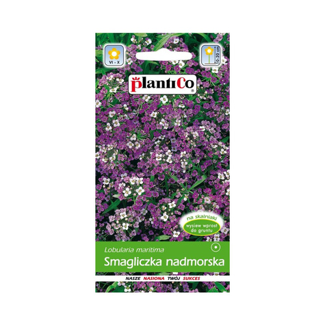 Smagliczka nadmorska amarantowo - fioletowa 0,5g Plantico