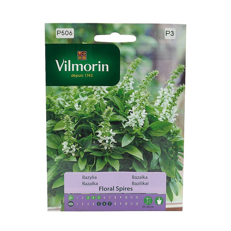 Bazylia Floral Spires anyżowy aromat 30nasion