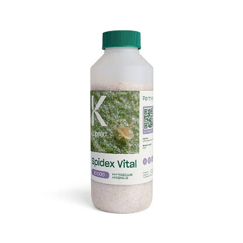 Dobroczynek szklarniowy Spidex 10000 500ML 
