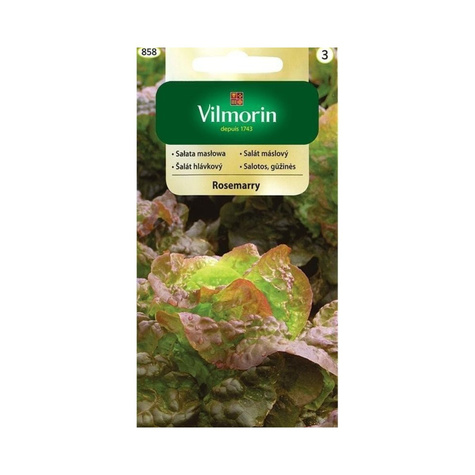 Sałata masłowa Rosemarry średniowczesna 1g