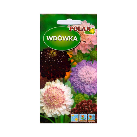 Wdówka, Driakiew mix kolorów 2g Polan