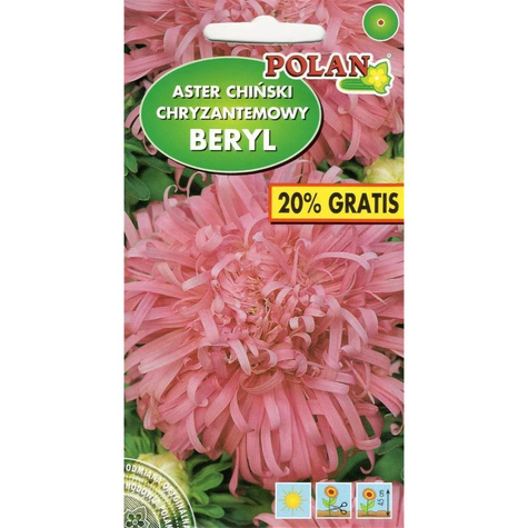 Aster chryzantemowy Beryl różowy 1+0,2g Polan