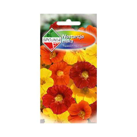 Nasturcja niska mix 3g Spójnia