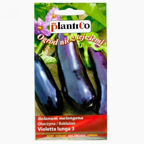 Oberżyna Bakłażan Violetta lunga 3 1g