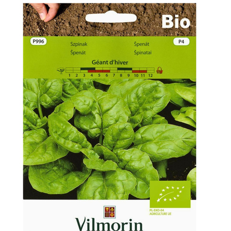 Szpinak Geant d`hiver BIO nasiona ekologiczne 10g zimowy