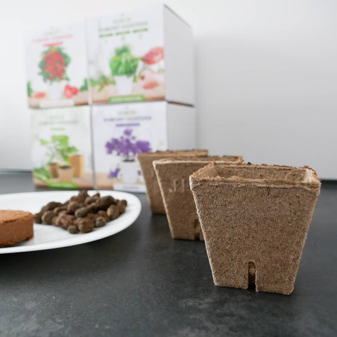 Zestaw do uprawy rozsady Papryka Biała Słodka