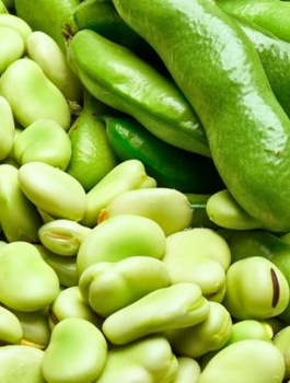 Bób Aguadulce wczesny Bio 40g 