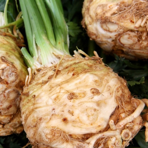 ZESTAW ALLEGRO Seler korzeniowy Maxim jesienny zbiór 0,5g