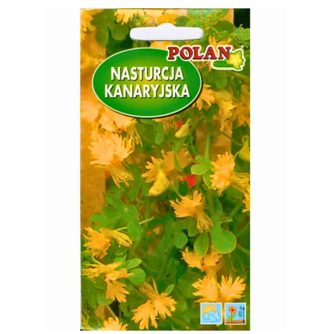 Nasturcja kanaryjska żółta 1 Polan