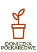 Doniczka karłowe || Doniczka 2L