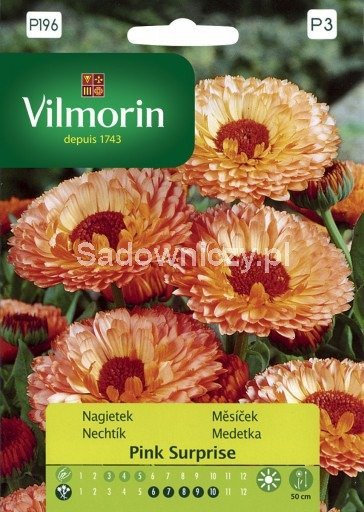 Nagietek lekarski Pink Suprise 1g