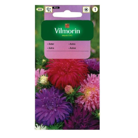 Aster chiński chryzantemowy mix + 50% gratis 1,5g Vilmorin