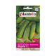 Ogórek gruntowy Regina mieszaniec 100g