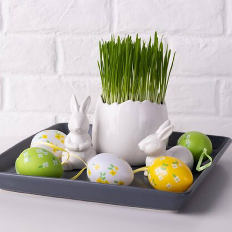 Owies Wielkanocny 10g