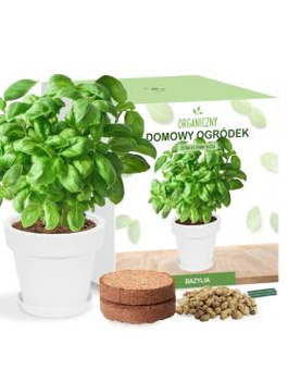 Zestaw do uprawy Bazylii Bazylia na parapet Domowy ogródek BIO