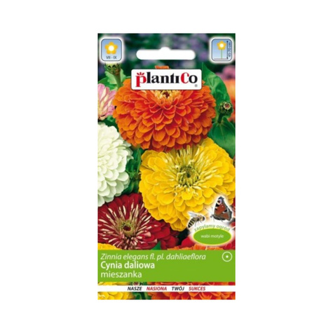 Cynia wytworna daliowa mieszanka 1g