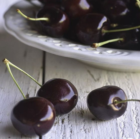 Czereśnia półkarłowa Jacinta chrupkie owoce Plant Pack