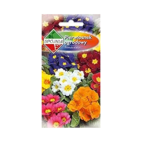 Pierwiosnek ogrodowy mix 0,5g Spójnia