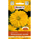 Słoneczniczek szorstki 1g