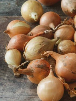 Cebula dymka żółta 0,25kg (STURON)