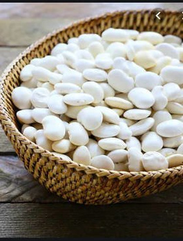 Fasola wielkokwiatowa karłowa na suche ziarno Laponia 50+10 g