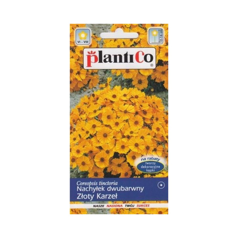 Nachyłek dwubarwny Złoty Karzeł 1g