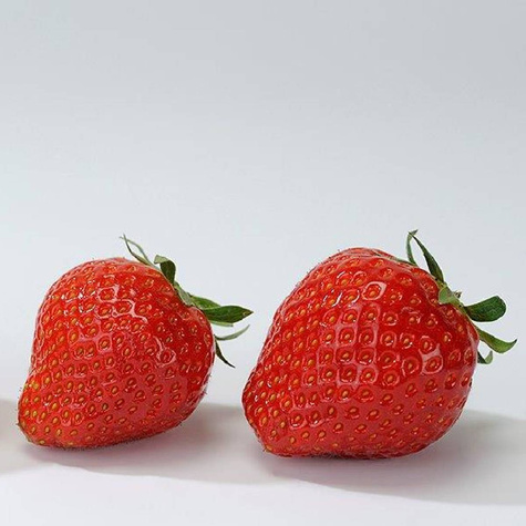 Truskawka KAMA wczesna BARDZO SŁODKIE TRUSKAWKI sadzonki truskawek 10 szt