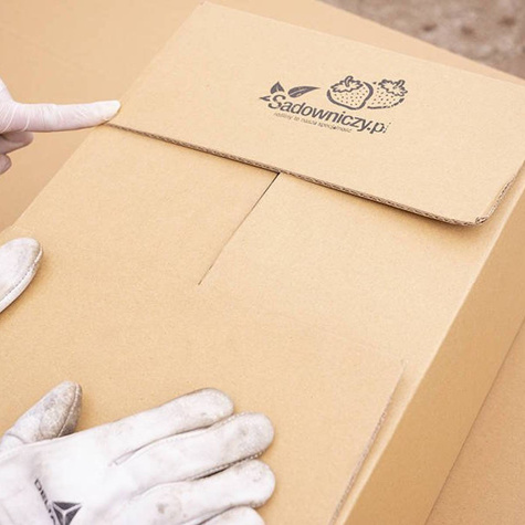 Truskawka poziomkowa chilijska Chaval (P9)