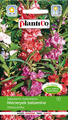 Niecierpek balsamina mieszanka 1g Plantico