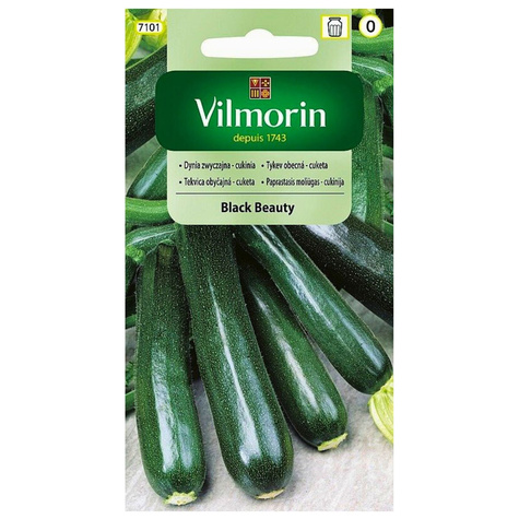 Dynia zwyczajna Cukinia Black Beauty 2g