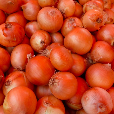 Cebula żółta Niagara F1 średniopóźna 5g