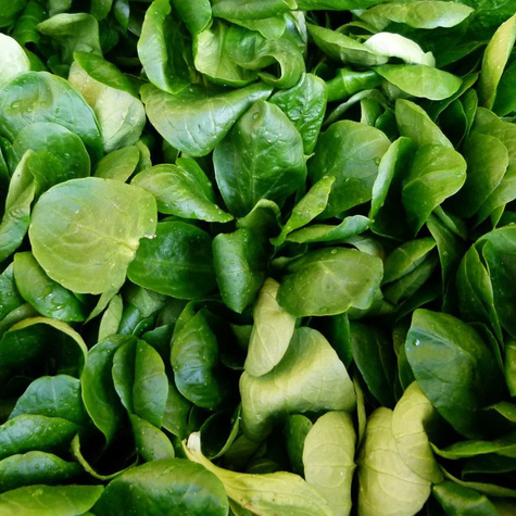 Roszponka  zielona sałatkowa 1g