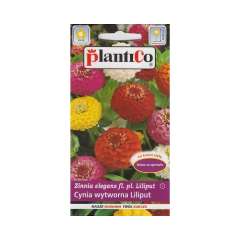 Cynia wytworna daliowa Liliput mieszanka Plantico 1 g