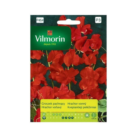 Groszek pachnący czerwony 2g Vilmorin