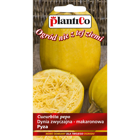 Dynia zwyczajna Makaronowa 2g