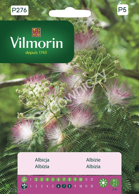 Albicja - jedwabne drzewo 5g nasiona