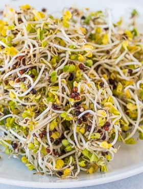 Brokuł nasiona na kiełki 20g