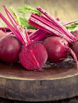 ZESTAW ALLEGRO Burak ćwikłowy Karmazyn 2 Bio 10g