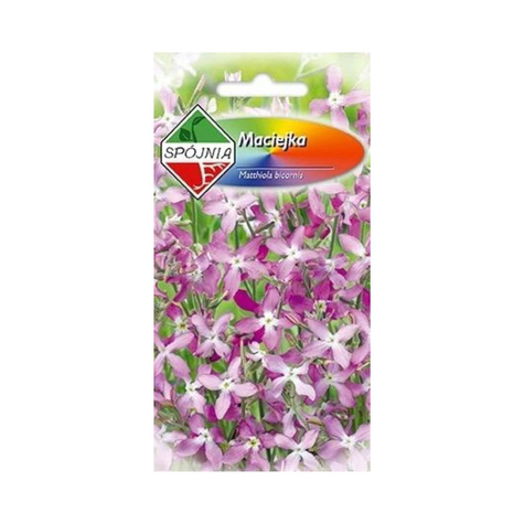 Maciejka jasno-fioletowa 3g Spójnia