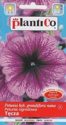 Petunia ogrodowa Tęcza 0,05g