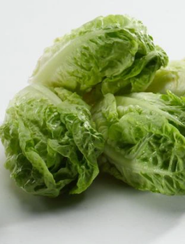 ZESTAW ALLEGRO Sałata rzymska Little Gem wczesna 0,5g