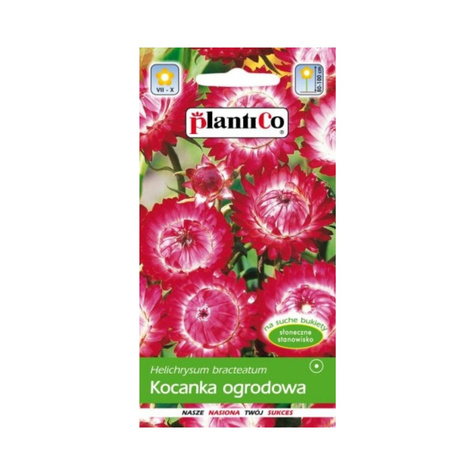 Kocanka ogrodowa różowa Nieśmiertelnik 1 g