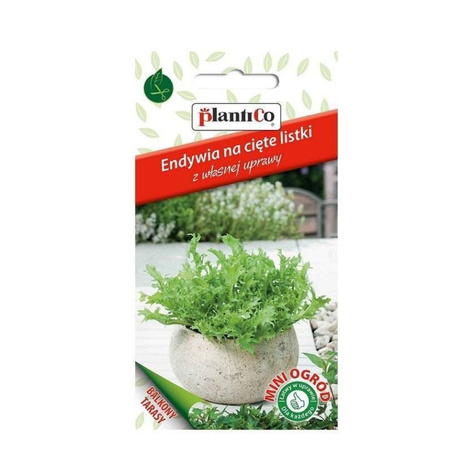 Endywia na cięte listki MINI OGRÓD 0,5g