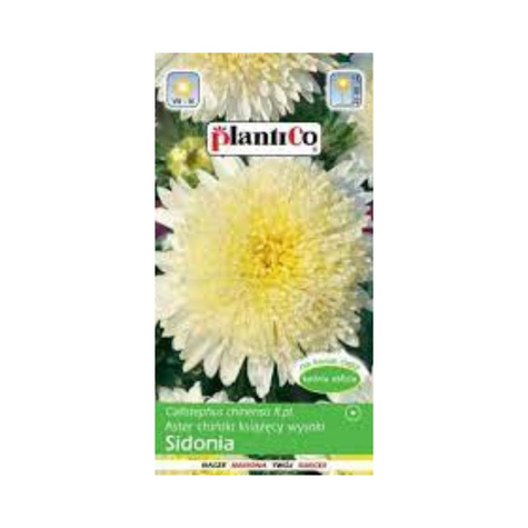 Aster chiński książęcy pomponowy Sidonia wysoki żółty 1g