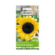 Słonecznik ozdobny wysoki żołty pojedynczy 2g Plantico