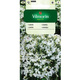 Lobelia Stroiczka White Lady 0,5g
