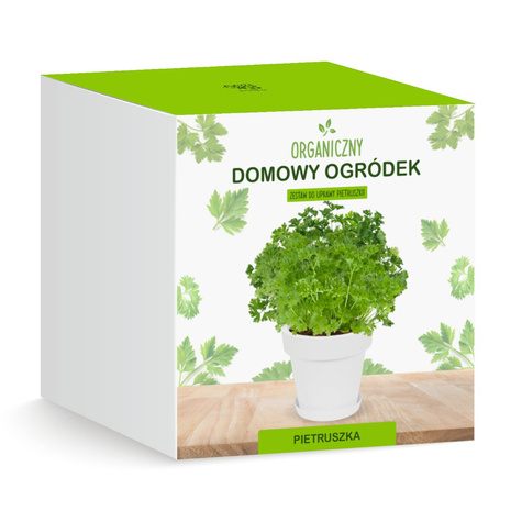 Zestaw do uprawy Pietruszka Naciowa zioła na parapet
