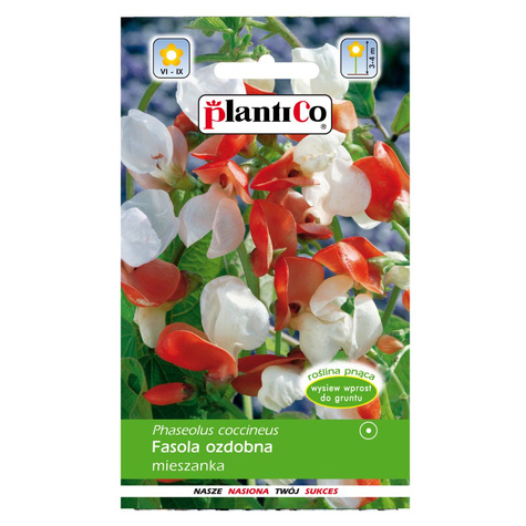 Fasola ozdobna mix 10g Spójnia