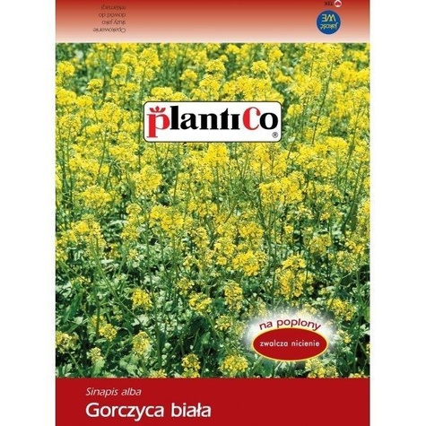 Gorczyca biała 50g